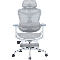 Офісне крісло Sihoo DORO C300L Mesh with Footrest White (DORO-C300L-A3-102-JT) - придбати в Дніпрі, Україні: ціна, характеристики | інтернет-магазин TOUCH