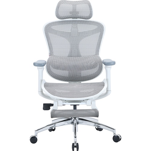 Офісне крісло Sihoo DORO C300L Mesh with Footrest White (DORO-C300L-A3-102-JT) - придбати в Дніпрі, Україні: ціна, характеристики | інтернет-магазин TOUCH