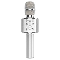 Мікрофон HOCO BK3 Cool Sound (Silver) - придбати в Дніпрі, Україні: ціна, характеристики | інтернет-магазин TOUCH