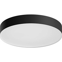 Потолочный светильник Philips Hue White Ambiance Enrave M Black (929003574301)