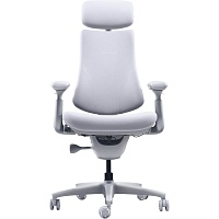 Офісне крісло LiberNovo Omni Space Gray (CP-GW-0000015-00-00) - придбати в Дніпрі, Україні: ціна, характеристики | інтернет-магазин TOUCH
