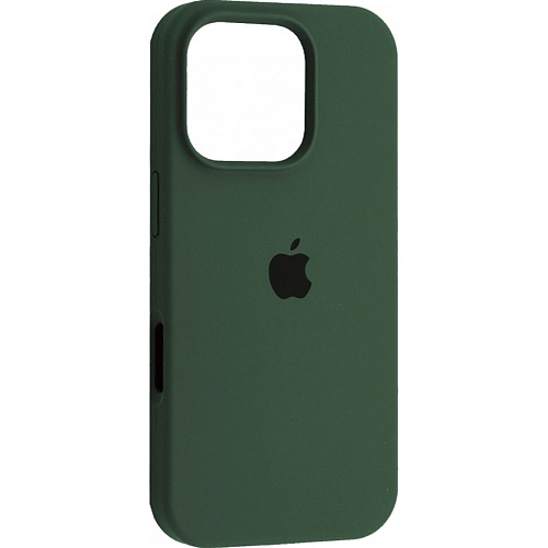 Чехол Silicone Case для Apple iPhone 16 Pro Eucalyptus AA