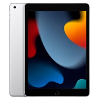 Планшет Apple iPad 10.2" (9 Gen) 256GB Wi-Fi + Cellular Silver 2021 (MK4H3)