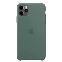 Чохол Silicone Case для Apple iPhone 11 Pro Max (Pine Green) ААА - придбати в Дніпрі, Україні: ціна, характеристики | інтернет-магазин TOUCH