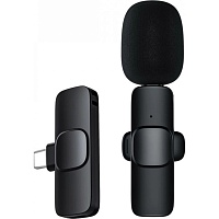 Мікрофонна радіосистема Recordio GAW-910 USB Type-C - придбати в Дніпрі, Україні: ціна, характеристики | інтернет-магазин TOUCH