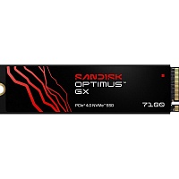 SSD накопитель SanDisk Optimus GX 7100 1 TB (SDSP71100TAN-000E0)