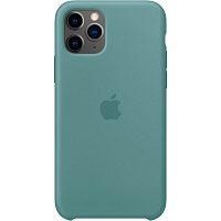 Чохол Silicone Case для Apple iPhone 11 Pro Cactus AAA - придбати в Дніпрі, Україні: ціна, характеристики | інтернет-магазин TOUCH