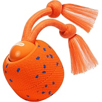 Розумний м'ячик для собак Cheerble Wicked Ball Rolly CWQ07O Bright Orange - придбати в Дніпрі, Україні: ціна, характеристики | інтернет-магазин TOUCH