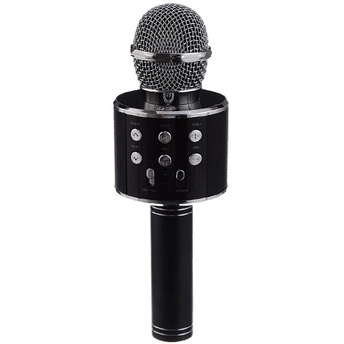 Микрофон с караоке WSTER (WS-858) Black