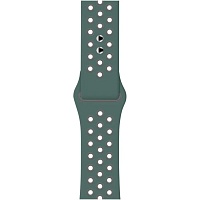 Ремешок Sport Nike для Apple Watch 38/40/41mm Gray/Green