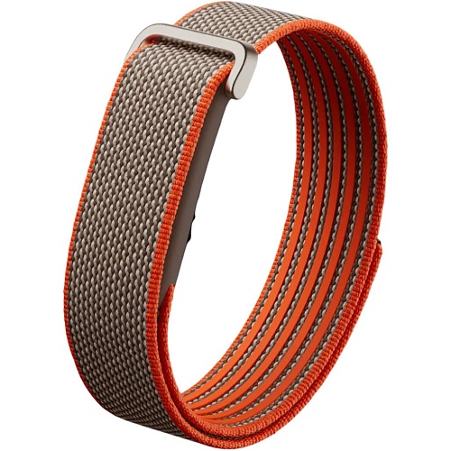 Фитнес-браслет Google Fitbit Air Rye