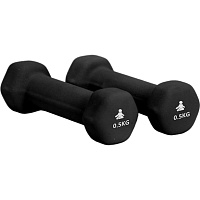 Гантели FITPADDY Premium Dumbbells 0.5kg (DB2X05BK)