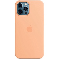 Чохол Silicone Case with MagSafe для iPhone 12 Pro Max (Cantaloupe) AAA - придбати в Дніпрі, Україні: ціна, характеристики | інтернет-магазин TOUCH