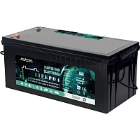 Аккумулятор EverExceed LiFePO4 LDP 12-300 12V (12V/300Ah/3600Wh) 