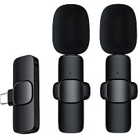 Мікрофонна радіосистема Recordio GAW-920 USB Type-C - придбати в Дніпрі, Україні: ціна, характеристики | інтернет-магазин TOUCH