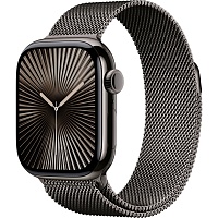 Смарт-часы Apple Watch Series 10 GPS + Cellular 42mm Slate Titanium Case with Slate Milanese Loop (MX053)