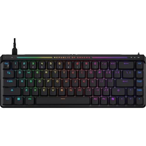 Клавиатура Asus ROG Falchion Ace HFX Black (90MP03VE-BKMA00)