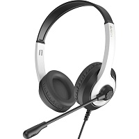 Комп'ютерна гарнітура A4Tech FH100U Panda - придбати в Дніпрі, Україні: ціна, характеристики | інтернет-магазин TOUCH