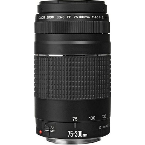 Объектив Canon EF 75-300mm f/4-5.6 III (6473A0150)