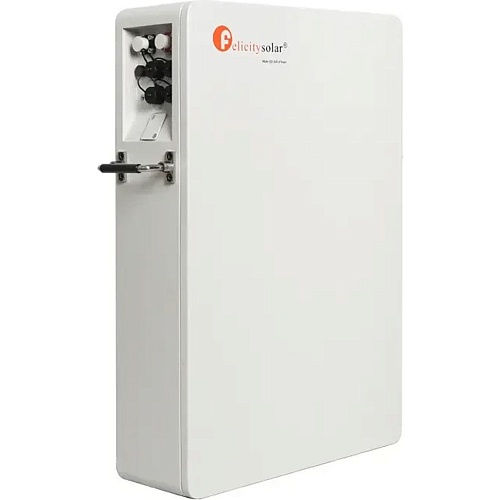 Аккумулятор FelicityESS LiFePO4 48V (51.2V/100Ah/5120Wh) (LPBA48100-OL)