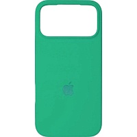Чехол Silicone Case для Apple iPhone 17 Pro Max Spearmint AA