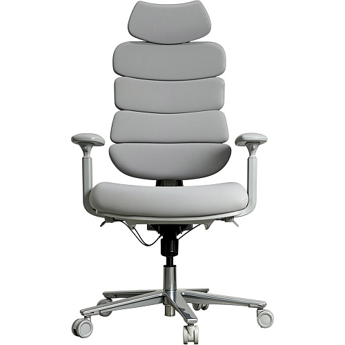 Офисное кресло OfficePro FlexCore OC120G