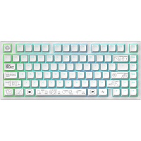 Клавиатура Dark Project ALU81 Terra Nova ENG/UA White (DPKB_NOVA_81_ANSI_WHITE_UA)