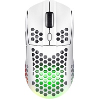 Миша Trust GXT 929 Helox Wireless/USB White (25390) - придбати в Дніпрі, Україні: ціна, характеристики | інтернет-магазин TOUCH