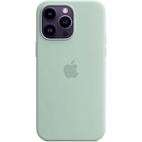 Чохол Silicone Case з MagSafe для Apple iPhone 14 Pro Max (Succulent) ААА