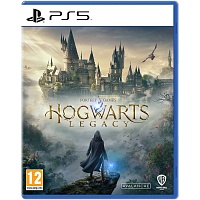 Гра Hogwarts Legacy для PS5 (EN + RU sub) - придбати в Дніпрі, Україні: ціна, характеристики | інтернет-магазин TOUCH