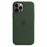 Чохол Silicone Case з MagSafe для Apple iPhone 12 Pro Max (Cyprus Green) ААА - придбати в Дніпрі, Україні: ціна, характеристики | інтернет-магазин TOUCH