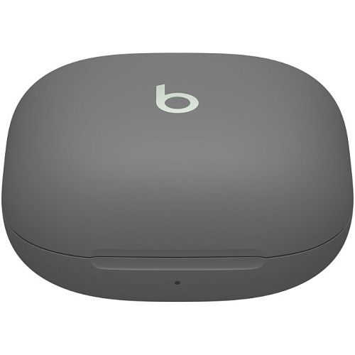 Наушники Beats by Dr. Dre Fit Pro Beats Sage Gray (MK2J3) - купить