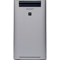 Очиститель воздуха Sharp UA-HG60E-L