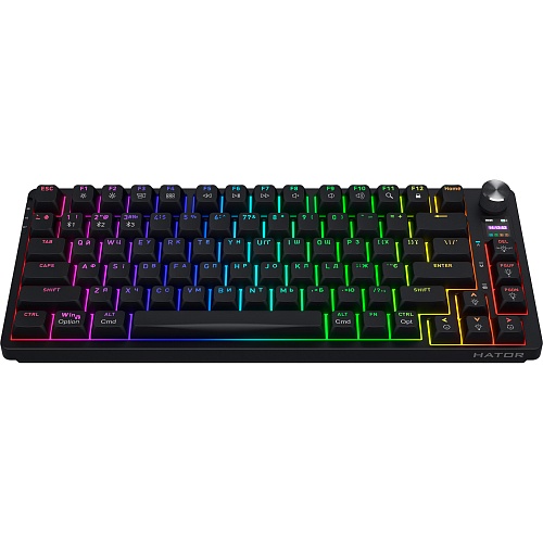 Клавиатура Hator Icefall PRO Black (HTK450UA)
