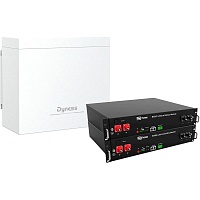 Акумулятор Dyness LiFePO4 48V (48V/100Ah/4800Wh) (B4850-BOX-2)