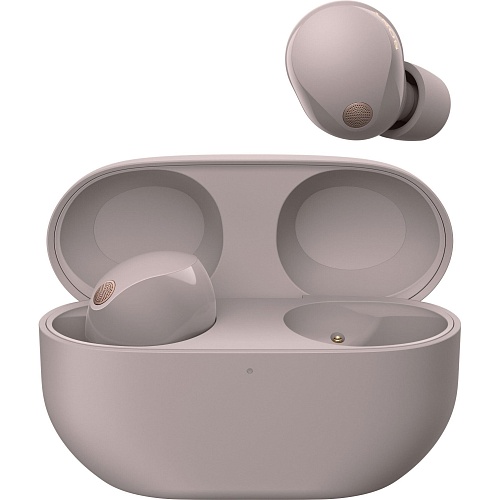 Навушники Sony WF-1000XM5 Smoky Pink (WF1000XM5P.CE7)  - придбати в Дніпрі, Україні: ціна, характеристики | інтернет-магазин TOUCH
