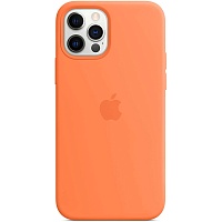 Чохол Silicone Case з MagSafe для Apple iPhone 12/12 Pro (Kumquat) ААА - придбати в Дніпрі, Україні: ціна, характеристики | інтернет-магазин TOUCH