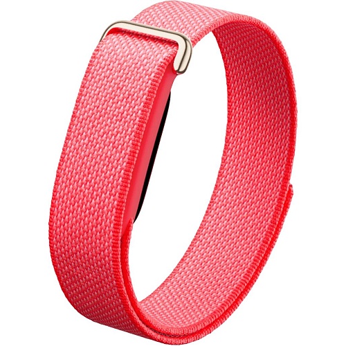 Фітнес-браслет Google Fitbit Air Berry - придбати в Дніпрі, Україні: ціна, характеристики | інтернет-магазин TOUCH