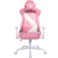 Геймерское кресло 1stPlayer S02 Pink/White