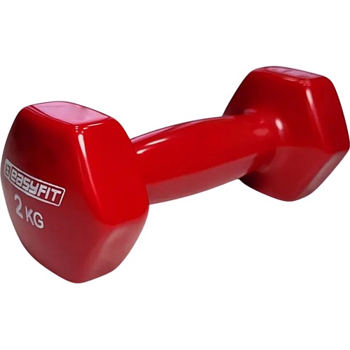 Гантель EasyFit Dumbbells 2.0 kg Red (EF-0020-R)