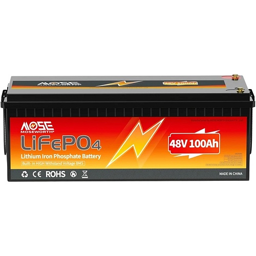 Аккумулятор MOSEWORTH LiFePO4 48V (48V/100Ah/4800Wh) BMS
