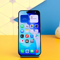 Смартфон Apple iPhone 16 Pro Max 256GB eSIM Black Titanium (MYW33) Б/У