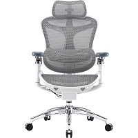 Офисное кресло Sihoo DORO C300 Pro Mesh White (DORO-C300-PRO-M102)