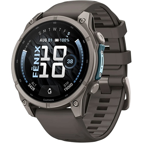 Смарт-часы Garmin Fenix 9 47mm Titanium with Pebble Gray Silicone Band (010-04762-00/01)