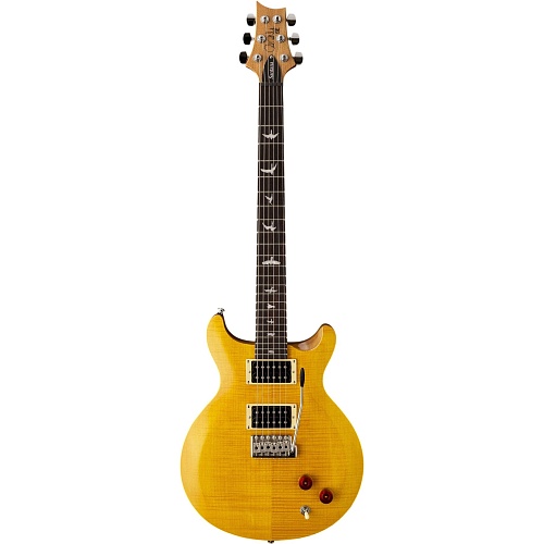 Електрогітара PRS SE Santana Yellow (SESASY) - придбати в Дніпрі, Україні: ціна, характеристики | інтернет-магазин TOUCH