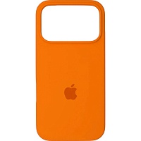 Чохол Silicone Case для Apple iPhone 17 Pro Max Orange AA - придбати в Дніпрі, Україні: ціна, характеристики | інтернет-магазин TOUCH