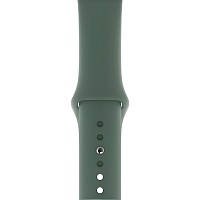 Ремінець Sport Band для Apple Watch 38/40/41mm Pine Green