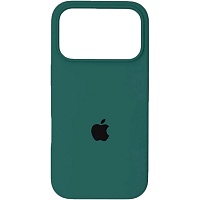 Чехол Silicone Case для Apple iPhone 17 Pro Max Pine Green AA