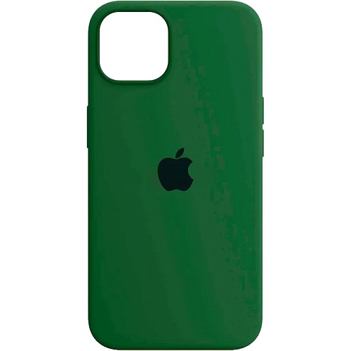 Чохол Silicone Case для Apple iPhone 14 (Virid Green) AA - придбати в Дніпрі, Україні: ціна, характеристики | інтернет-магазин TOUCH