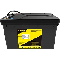 Акумулятор LiitoKala LiFePO4 LCD 48V (48V/50Ah/2400Wh) (BMS 100A/50A) - придбати в Дніпрі, Україні: ціна, характеристики | інтернет-магазин TOUCH